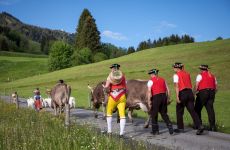 Impression 3 - Bauernverband Appenzell I. Rh.