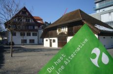 Impression 2 - Alternative - die Grünen Baar