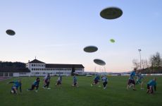 Impression 2 - Wombat Ultimate Willisau