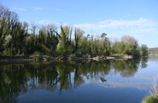 Impression 4 - Andelfinger Naturschutzverein